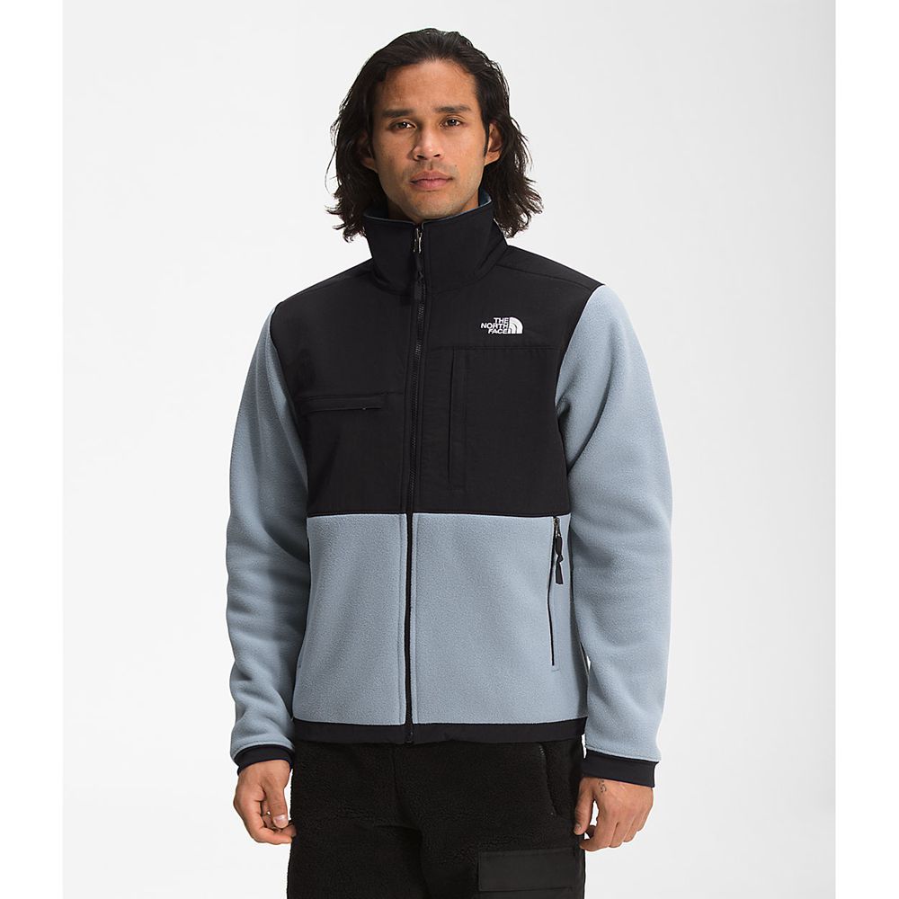 The North Face Fleece Jacket Mens Australia - The North Face Denali 2 Grey Snow (AEY-893204)